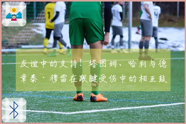 友谊中的支持！塔图姆、哈利与德章泰·穆雷在跟腱受伤中的相互鼓励