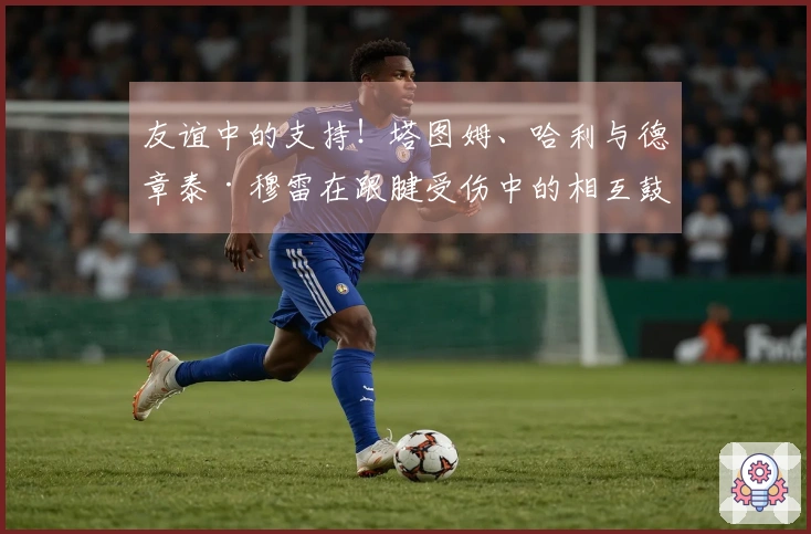 友谊中的支持！塔图姆、哈利与德章泰·穆雷在跟腱受伤中的相互鼓励
