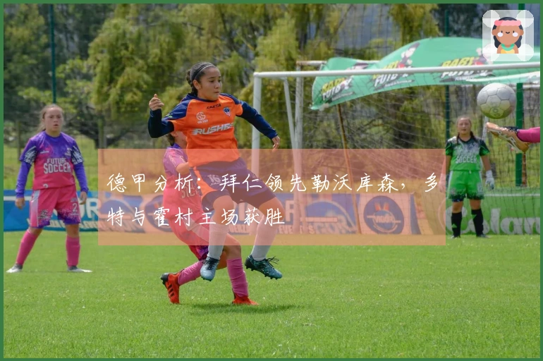 德甲分析:拜仁领先勒沃库森,多特与霍村主场获胜