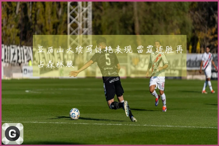 亚历山大续写惊艳表现 雷霆连胜再占森林狼