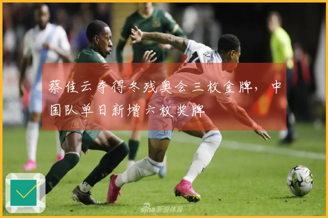 蔡佳云夺得冬残奥会三枚金牌，中国队单日新增六枚奖牌